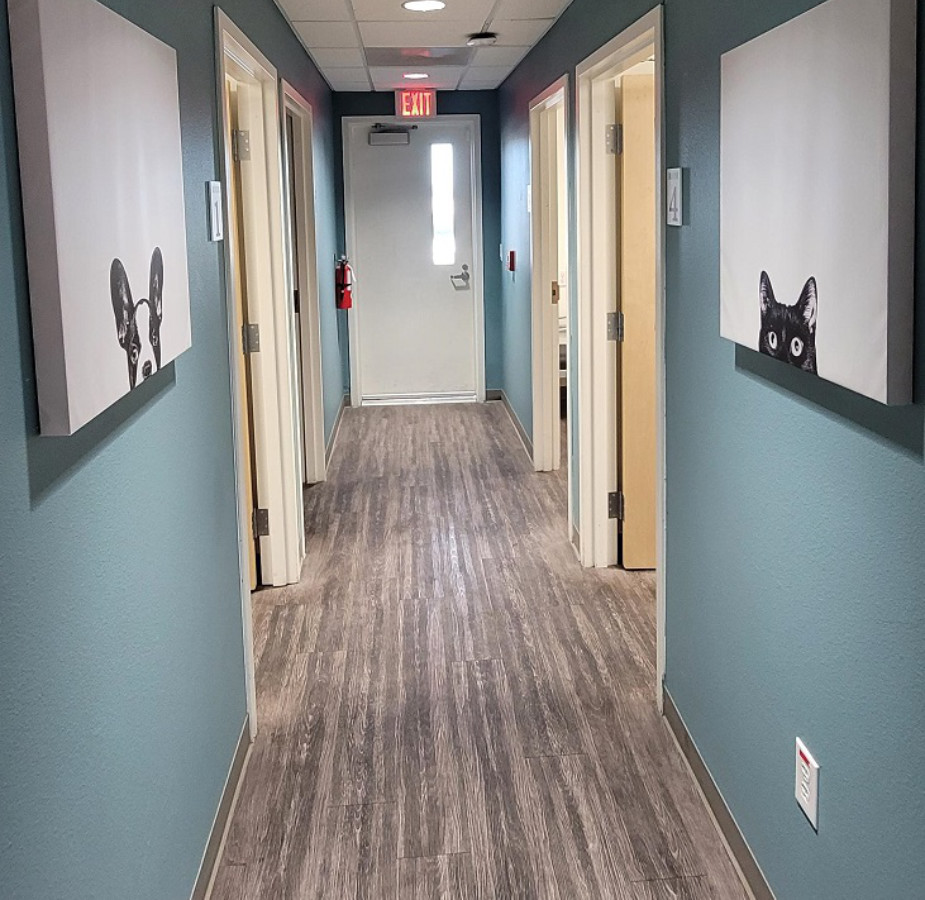 Hallway in Cheyenne Tonopah Animal Hospital