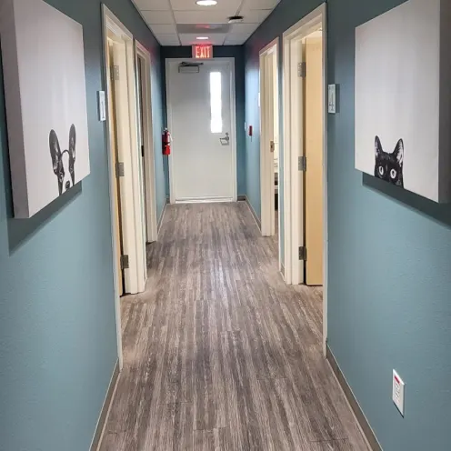 Hallway in Cheyenne Tonopah Animal Hospital