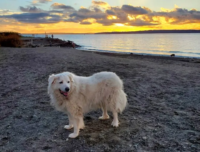 Nova at the beach Nova at the beach