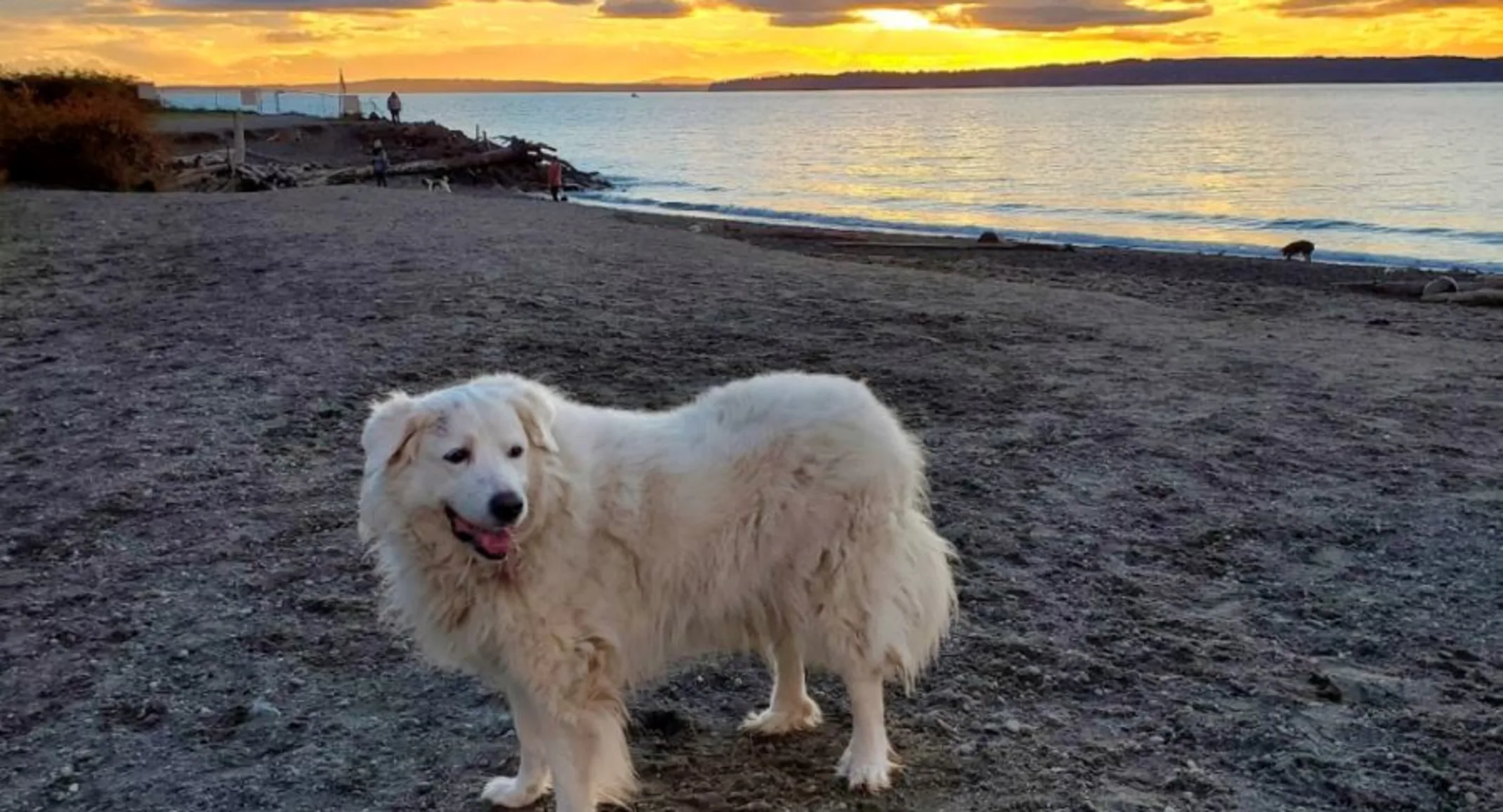Nova at the beach Nova at the beach