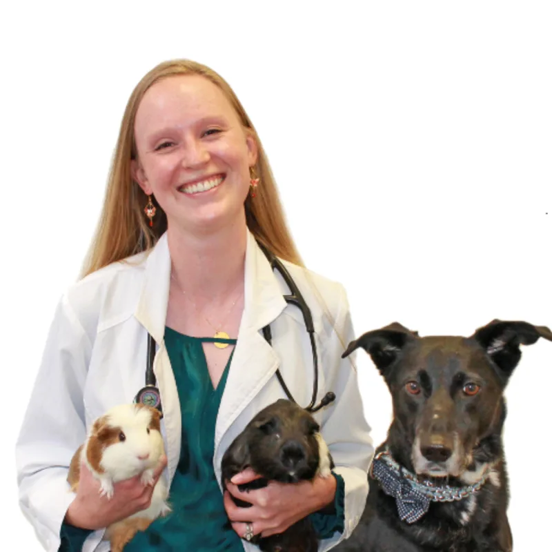 Dr. Natalie Peterson Dr. Natalie Peterson