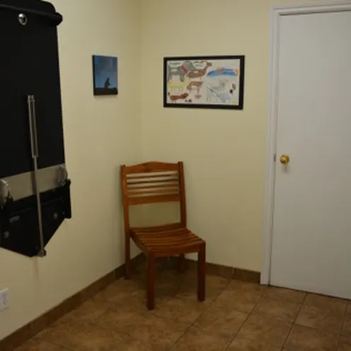 Exam Room at Liston Animal Hospital 