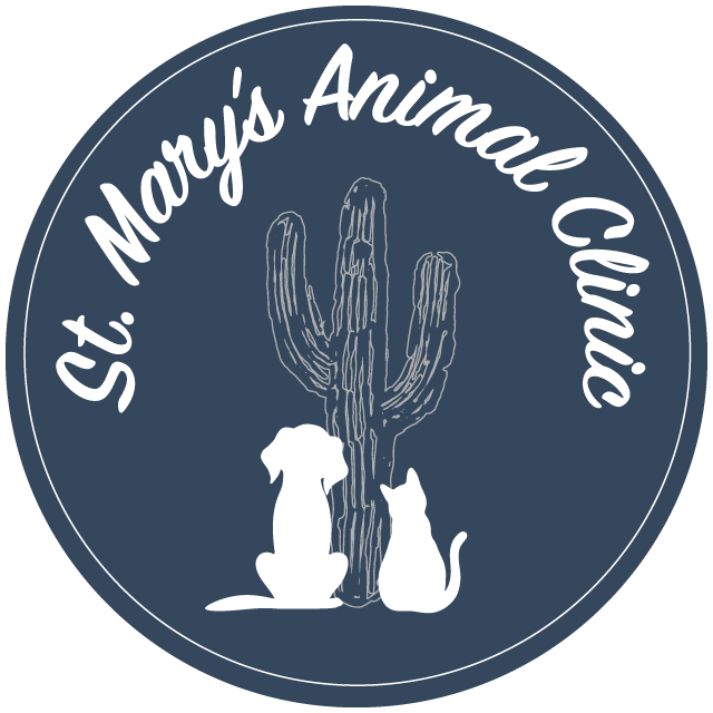 Homepage | St Mary's Animal Clinic