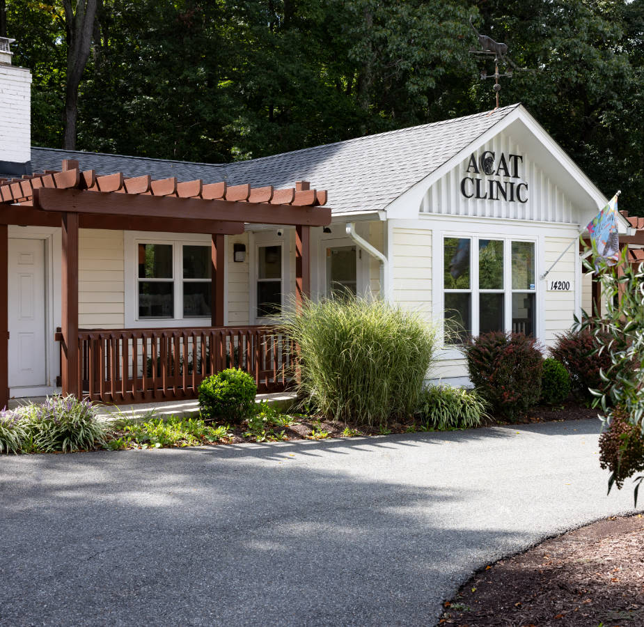 A Cat Clinic exterior zoomed out