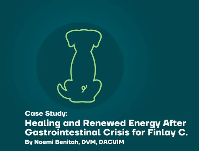 Veterinary Case Study: Finlay Veterinary Case Study: Finlay