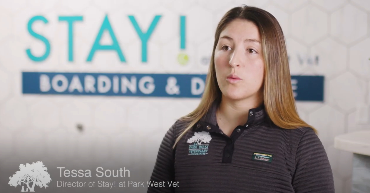 Stay at Park West Vet video image