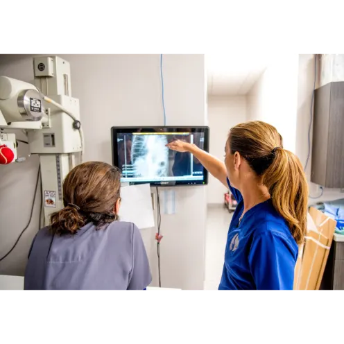 Two Staff Members Viewing X-Rays on Screen 