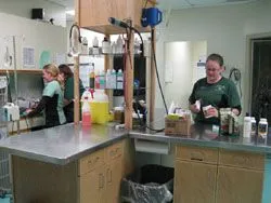 Treatment/Prep Area