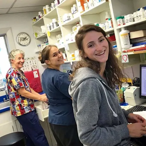 Staff Working in the Pharmacy Area Staff Working in the Pharmacy Area