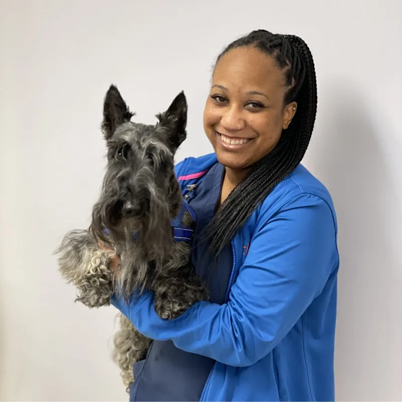 Perry Hall Animal Hospital Monique Brown Perry Hall Animal Hospital Monique Brown