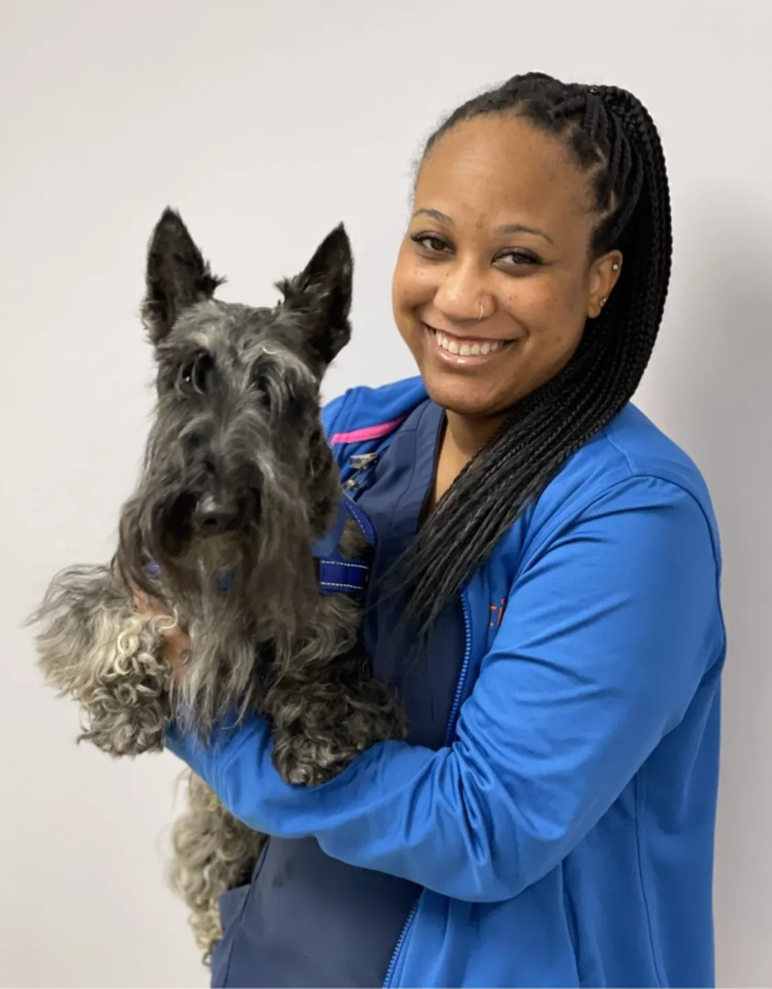 Perry Hall Animal Hospital Monique Brown Perry Hall Animal Hospital Monique Brown