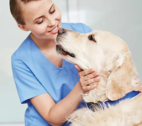 Clinic Dog with Woman Clinic Dog with Woman