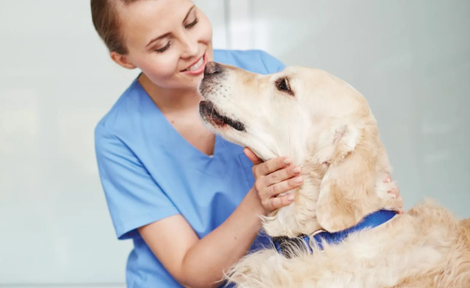Clinic Dog with Woman Clinic Dog with Woman