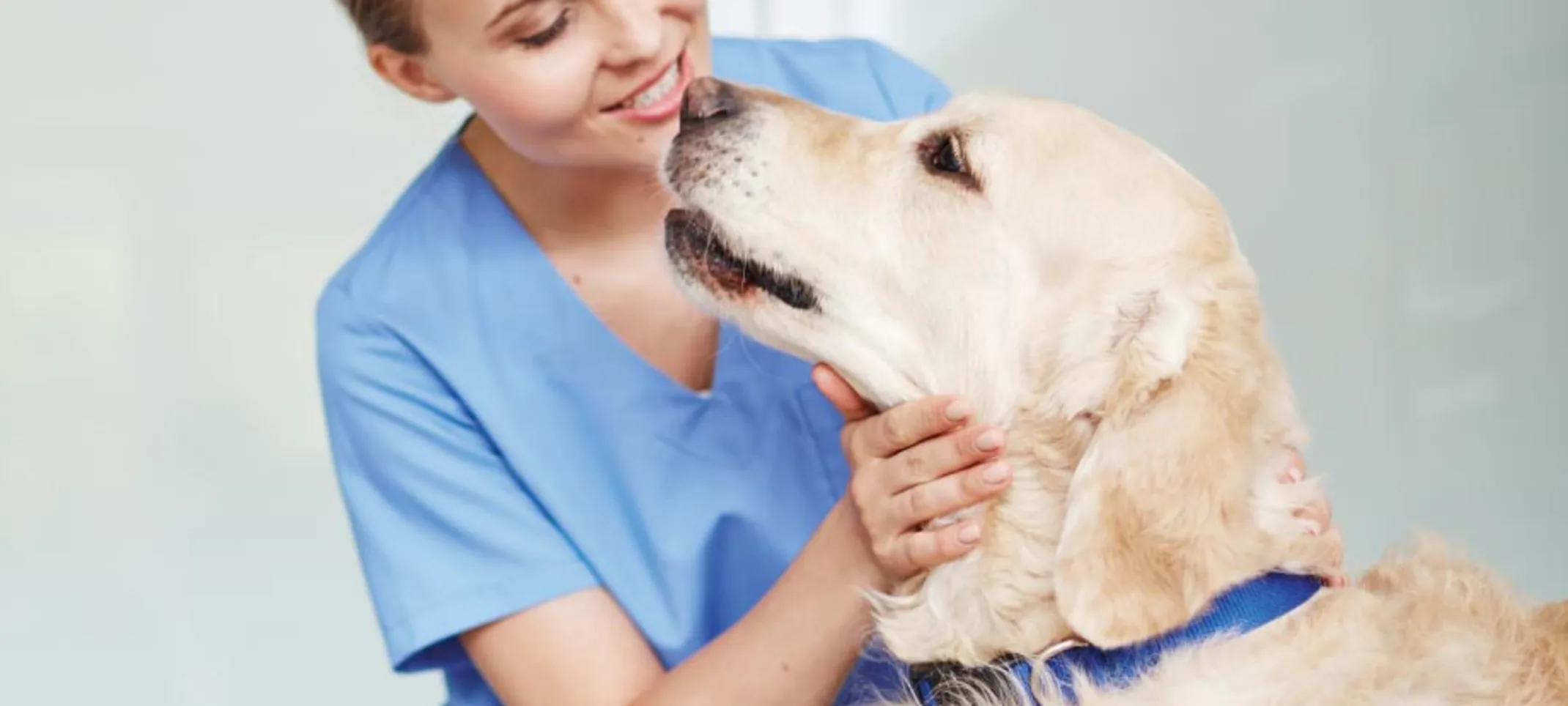 Clinic Dog with Woman Clinic Dog with Woman
