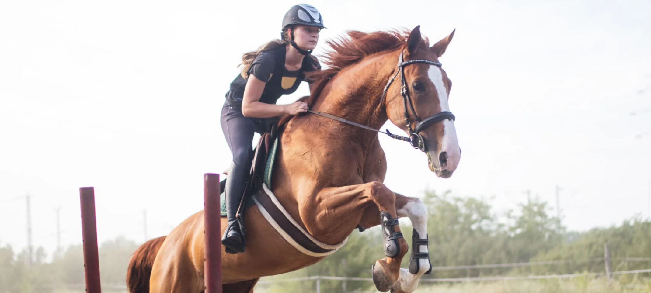 Horse and jockey jumping over a hurdle