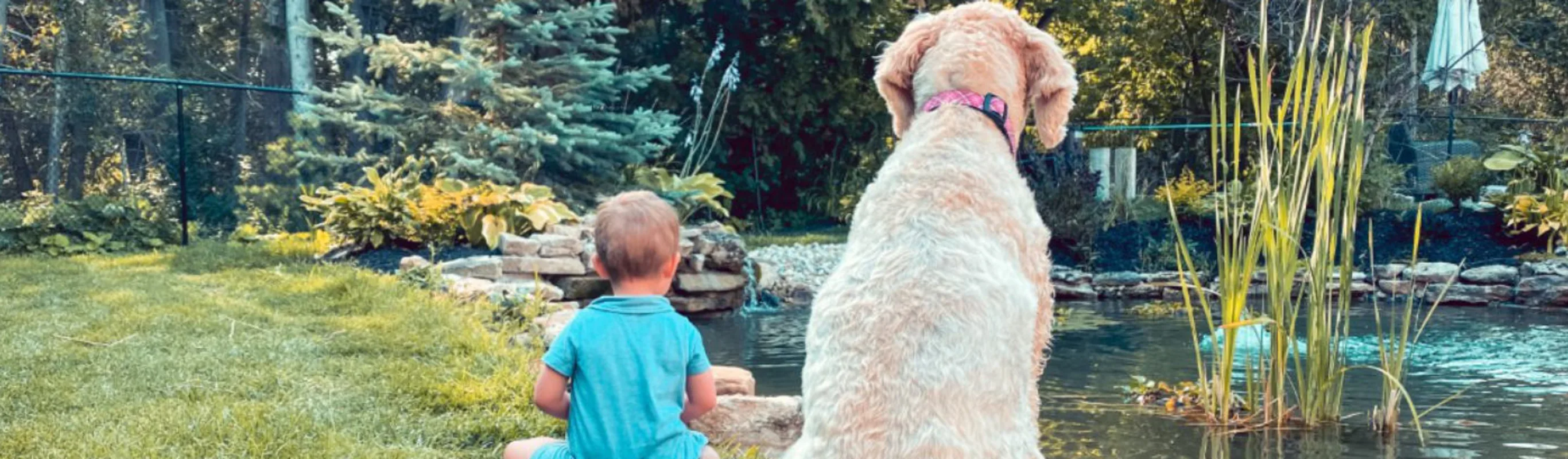 Dog and child sitting together by a pond 