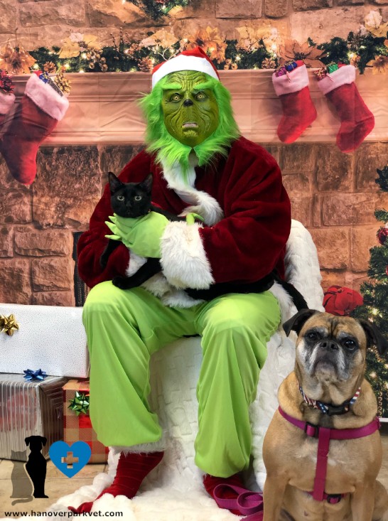 Midnight with the Grinch at Hanover Park Animal Care Center