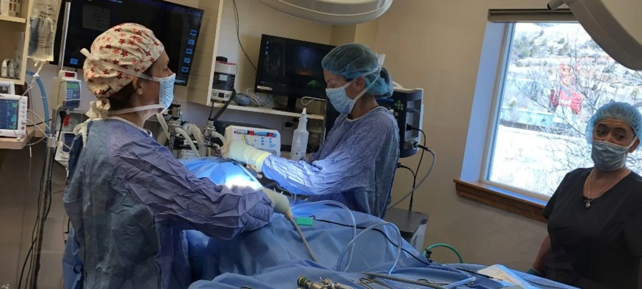 Laparoscopic Surgery at Riverview Animal Hospital Laparoscopic Surgery at Riverview Animal Hospital