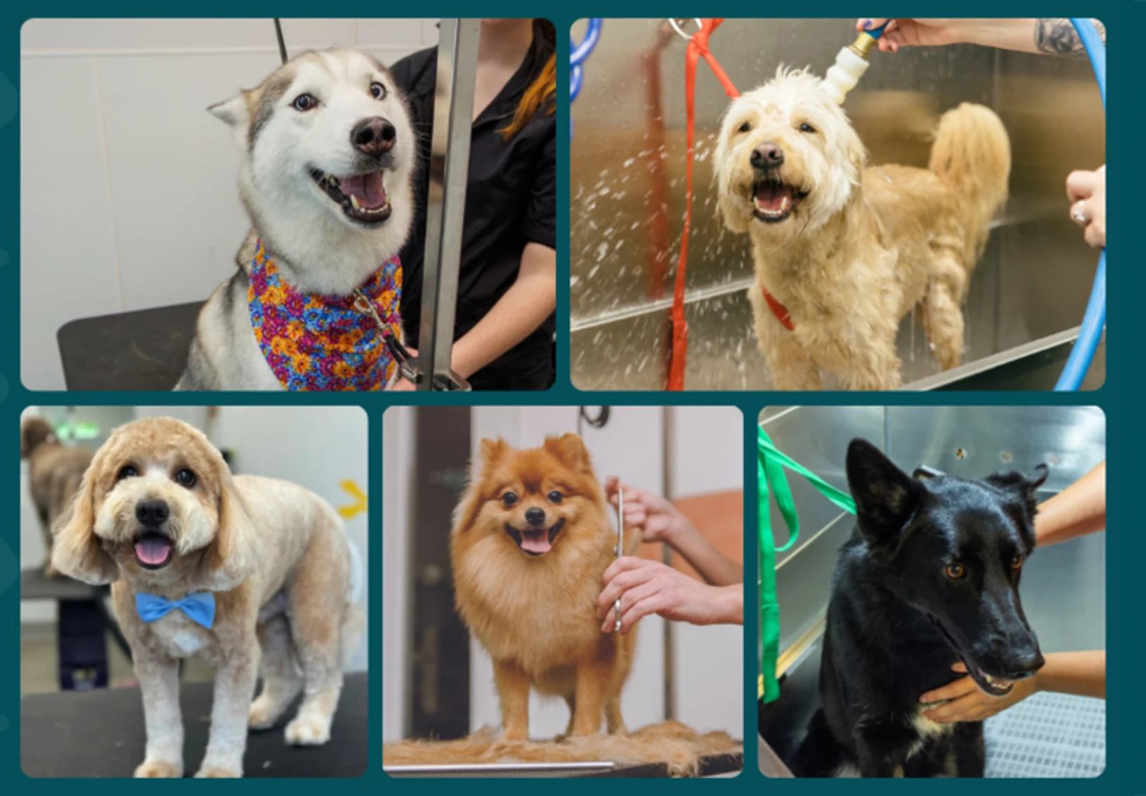 New Years at TBS New Years at TBS