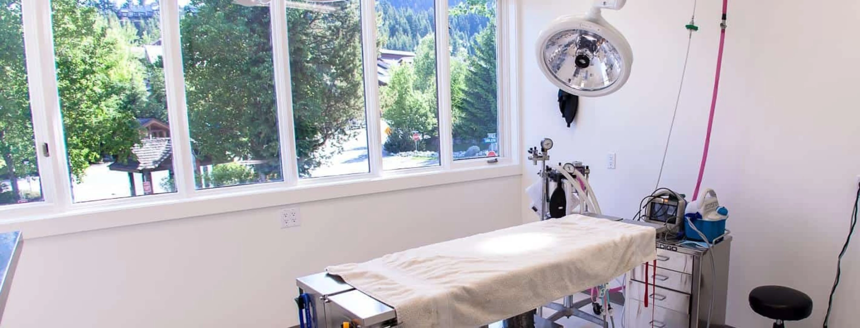 Surgery Services Surgery Services