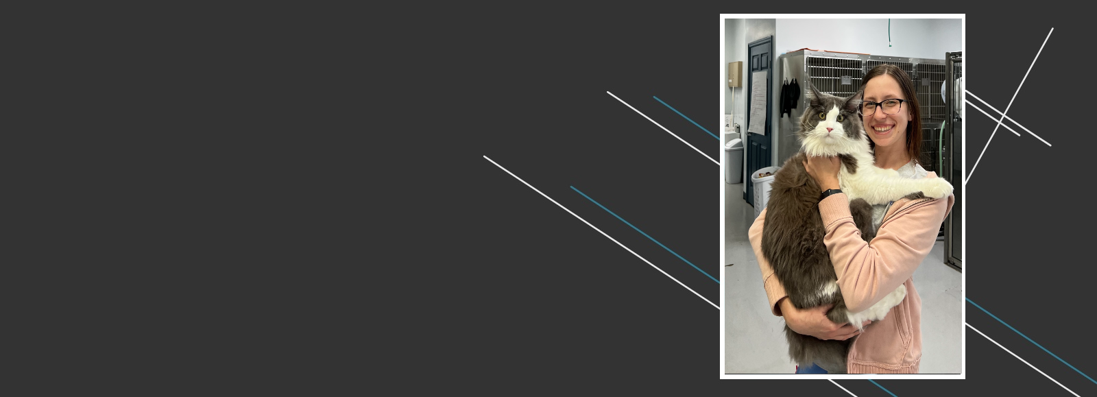 Atlantic Animal Hospital of Port Orange Atlantic Animal Hospital