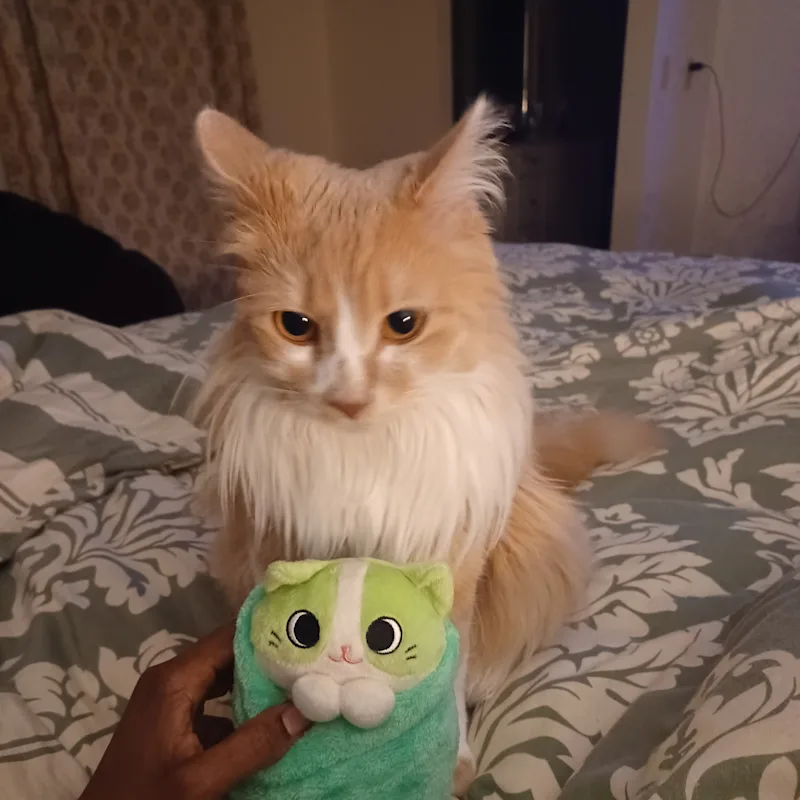 Luke Skywalker Luke Skywalker