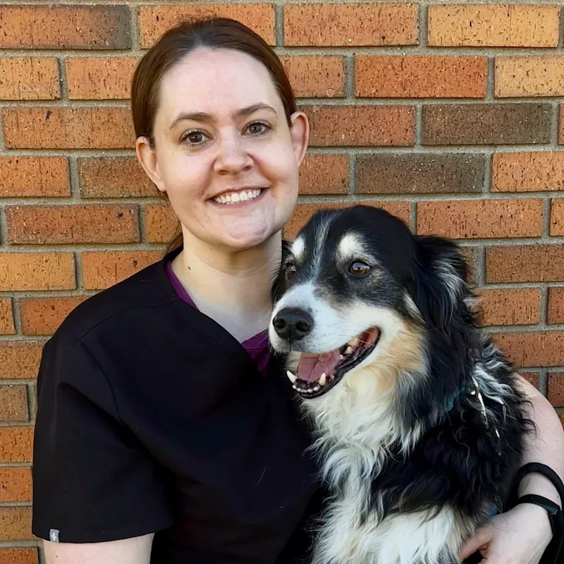 Dr. Emily Tschida Dr. Emily Tschida