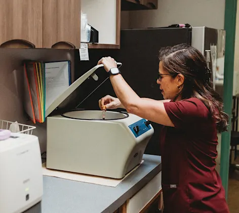 A technician using laboratory equipment A technician using laboratory equipment