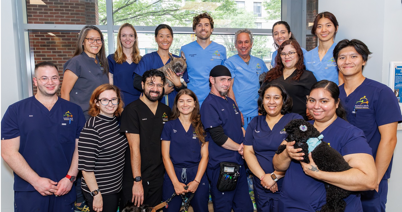 Battery Park Vets Team