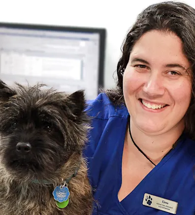 Elena at Blue Cross Animal Hospital Elena at Blue Cross Animal Hospital
