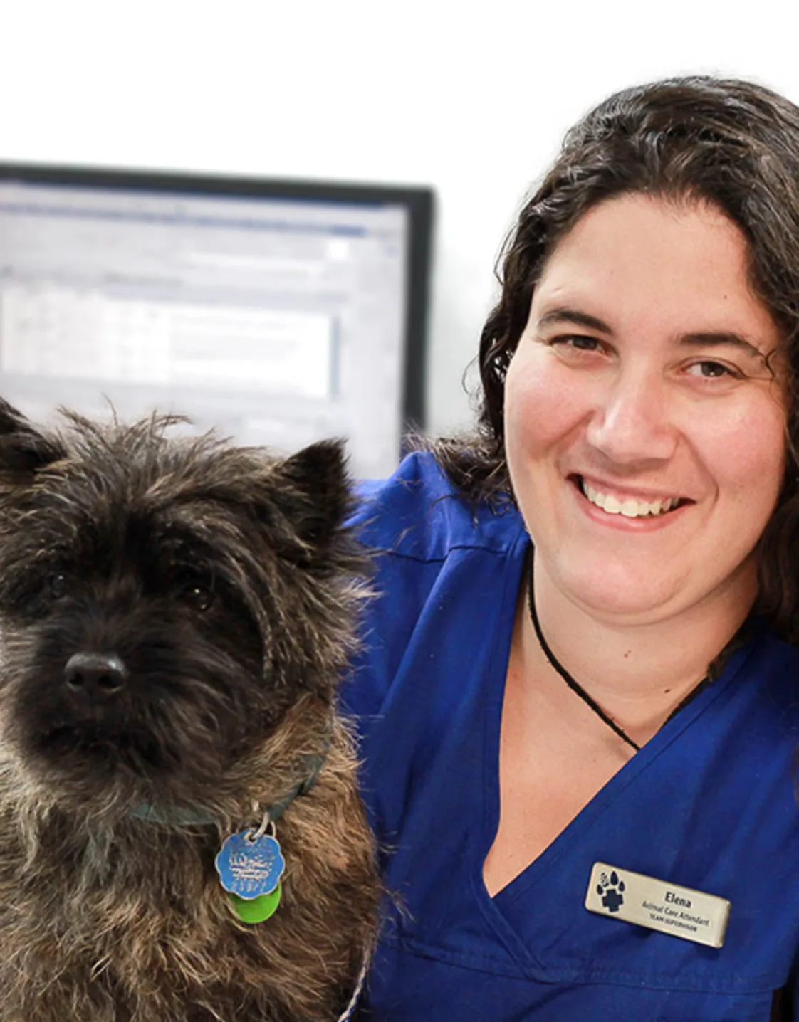 Elena at Blue Cross Animal Hospital Elena at Blue Cross Animal Hospital