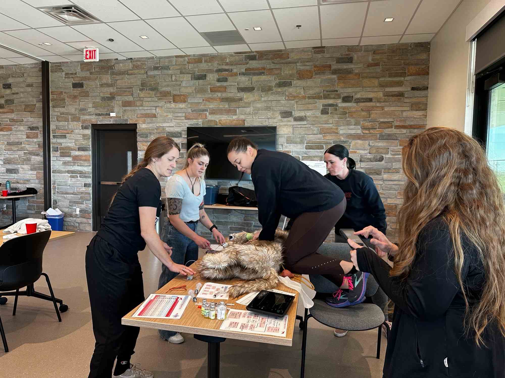 Staff performing CPR on a mannequin