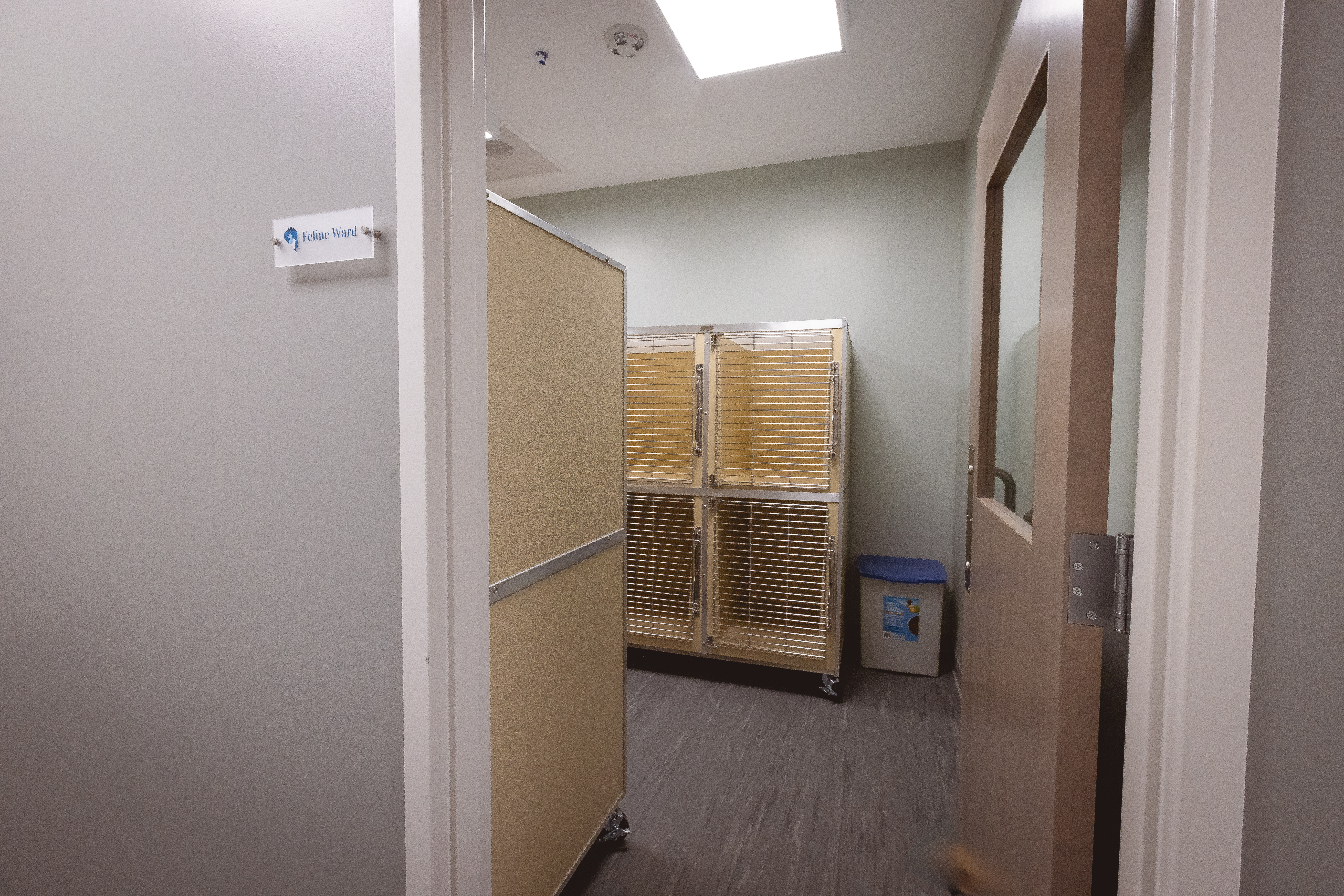 Feline Ward