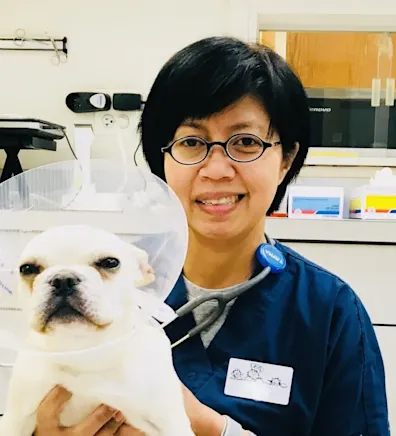 Dain with small brown dog Dain with small brown dog