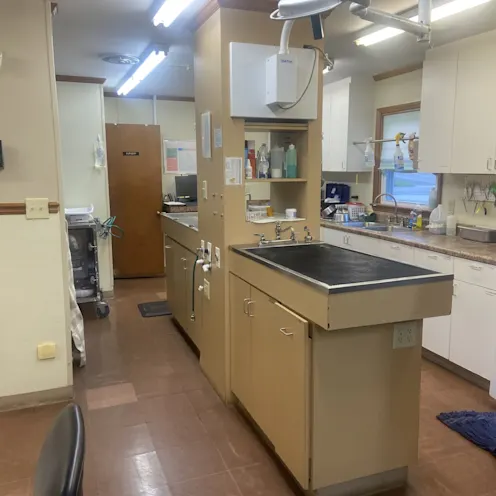 Treatment Area with Wet Tables at King's Mountain Animal Clinic Treatment Area with Wet Tables at King's Mountain Animal Clinic