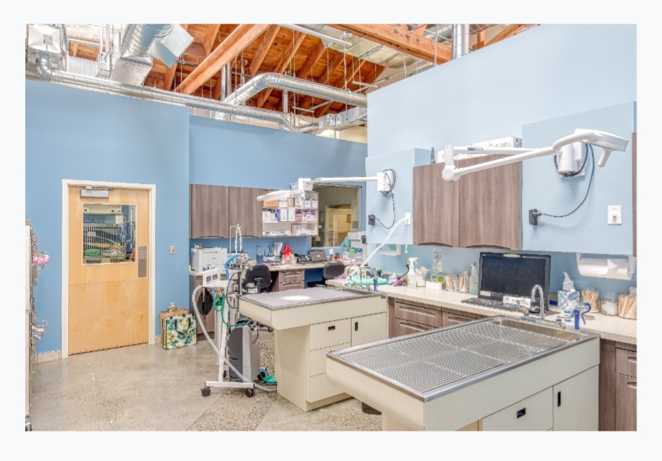 Pet Samaritan Clinic 