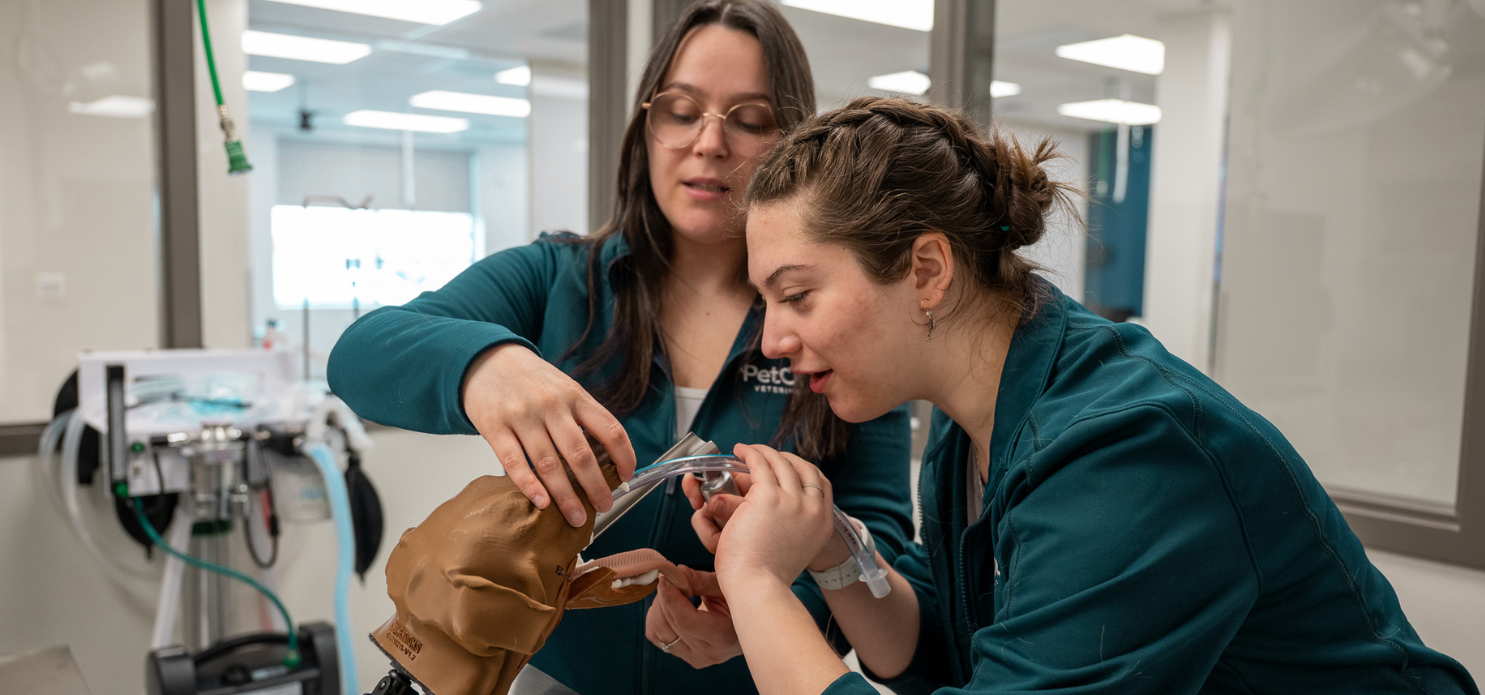 Think you’ve mastered anesthesia? Let’s find out