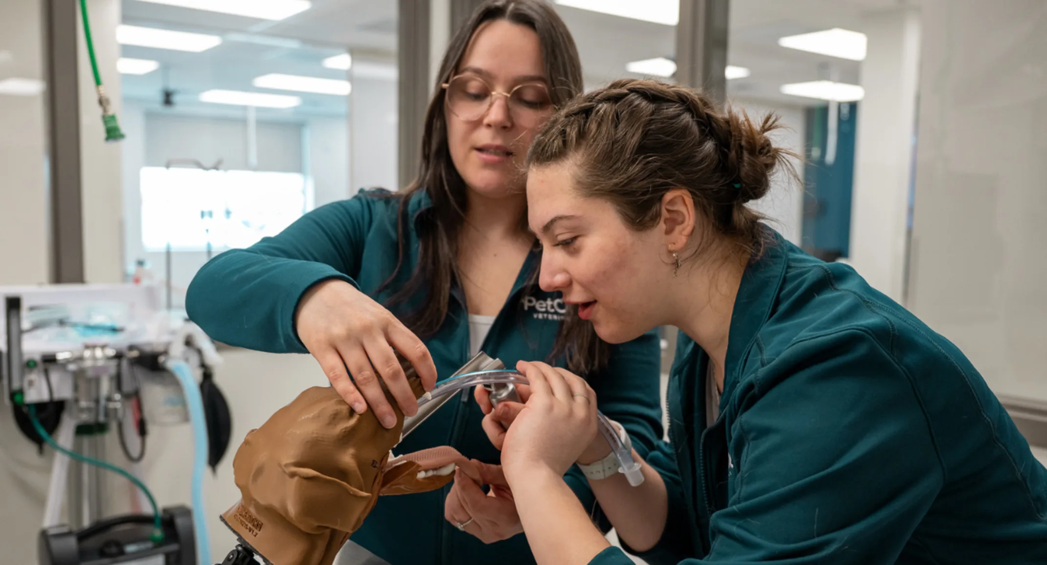 Think you’ve mastered anesthesia? Let’s find out Think you’ve mastered anesthesia? Let’s find out