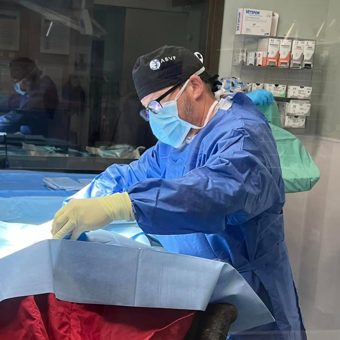 Dr. Nate Chaudoin preforming surgery at NVS Clarksville