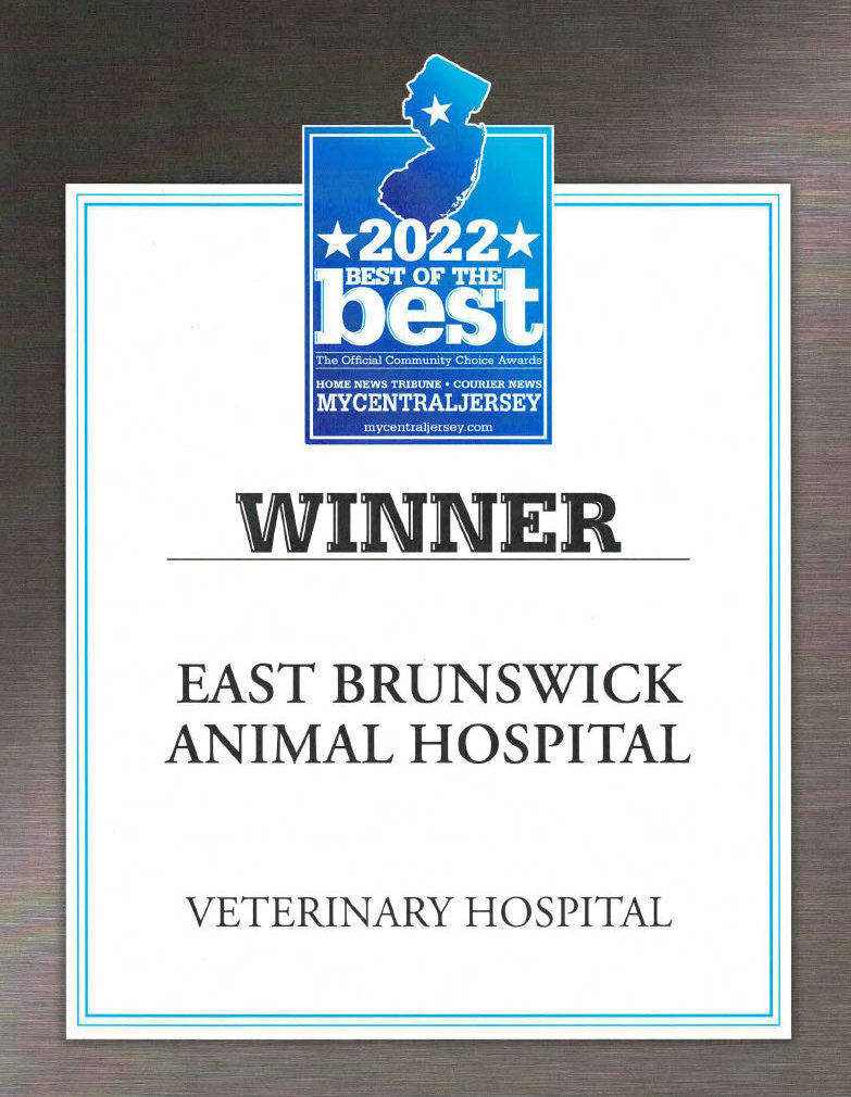 Veterinary Hospital 2022 Award