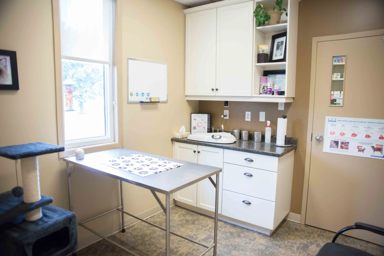 Exam Room