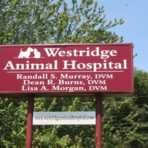 Westridge Animal Hospital Sign