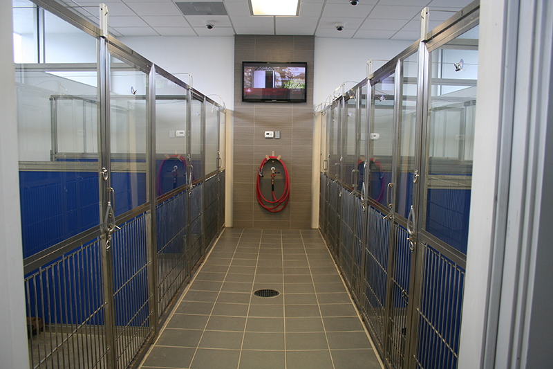 Lauderdale Pet Lodge Kennel