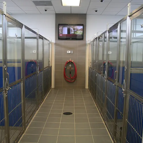 Lauderdale Pet Lodge Kennel