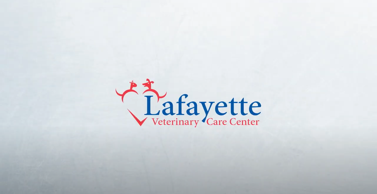 Careers YouTube Screenshot