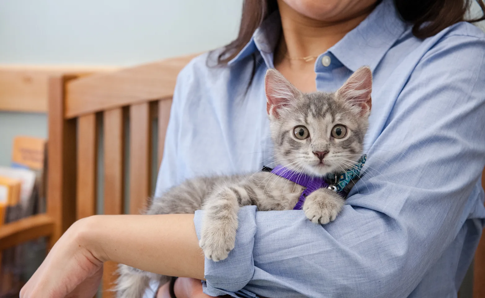 Cat and Staff