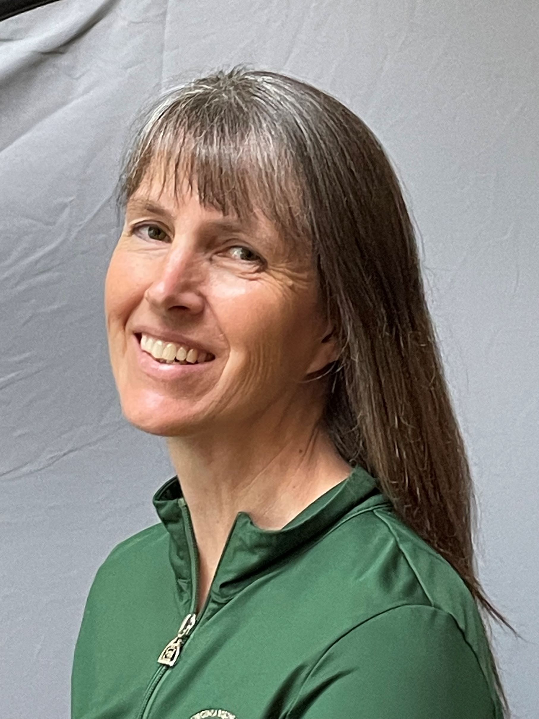 Outline drawing of a horse