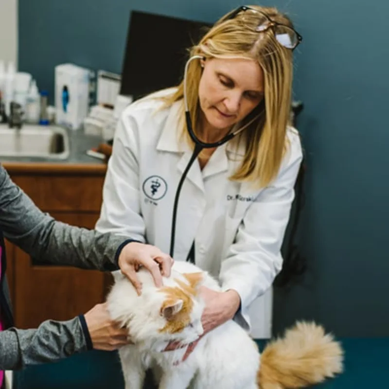 Dr. Kathryn Gorski Dr. Kathryn Gorski