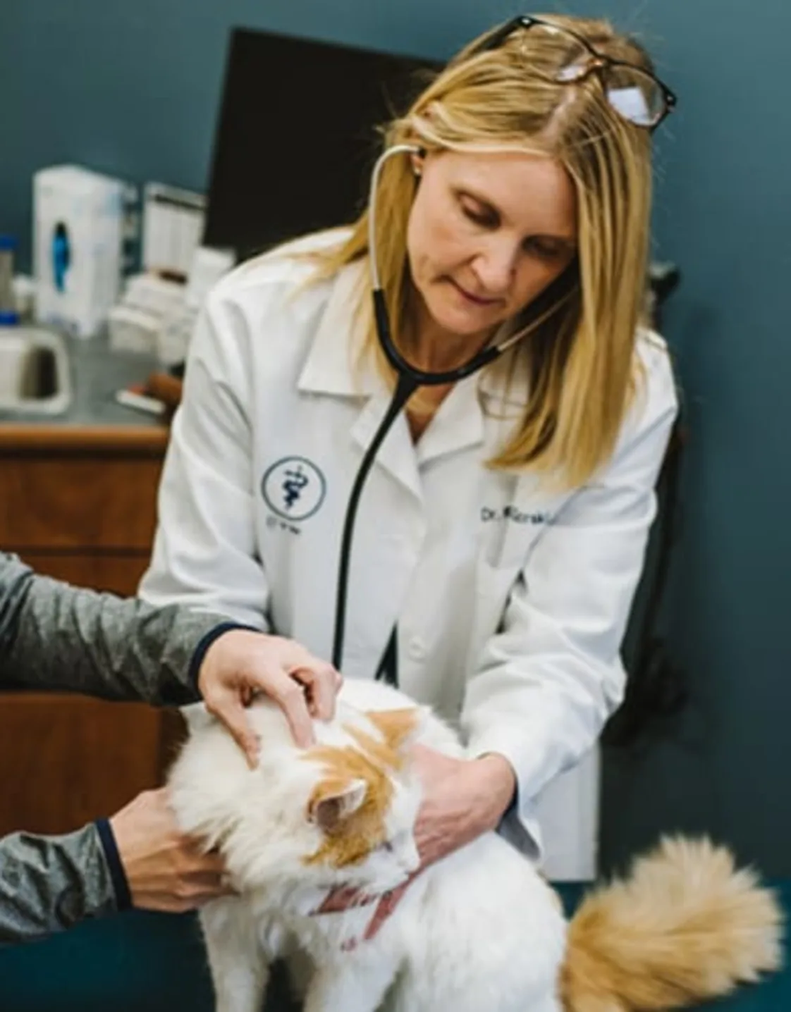 Dr. Kathryn Gorski Dr. Kathryn Gorski