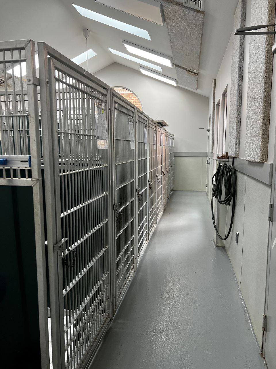 Kennels at Peaks View Animal Hospital.